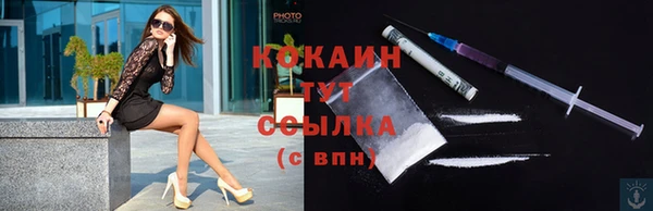спиды Няндома