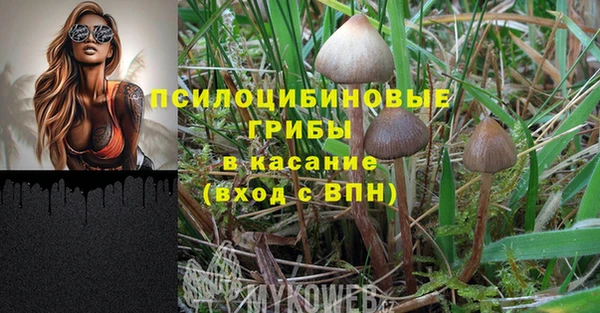 мдпв Нязепетровск