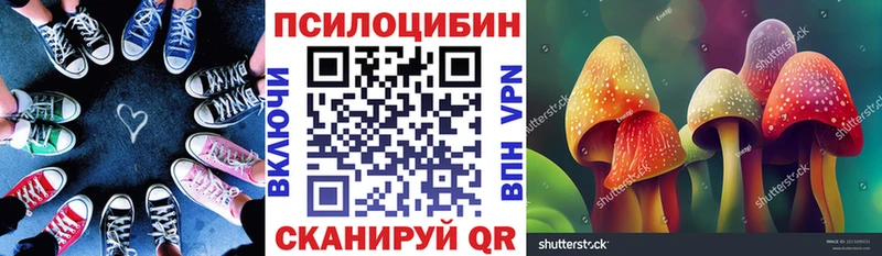 купить   Ульяновск  Галлюциногенные грибы прущие грибы 