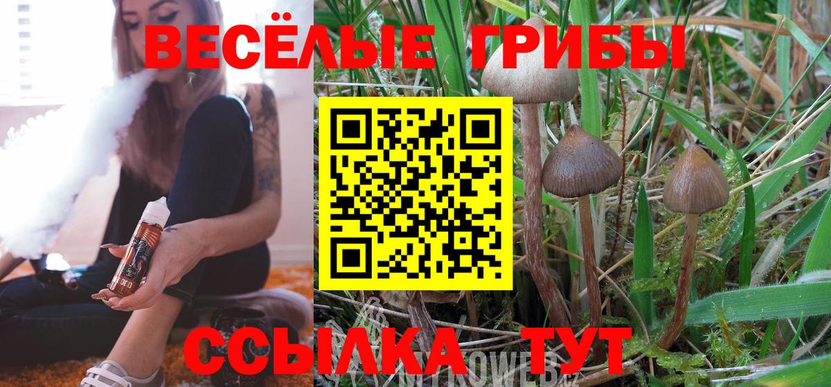 Псилоцибиновые грибы ЛСД  даркнет сайт  Ульяновск  Вход с VPN 